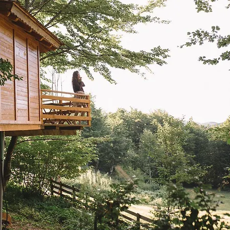 Treehouse Bosnia Sarajevo Holiday home *